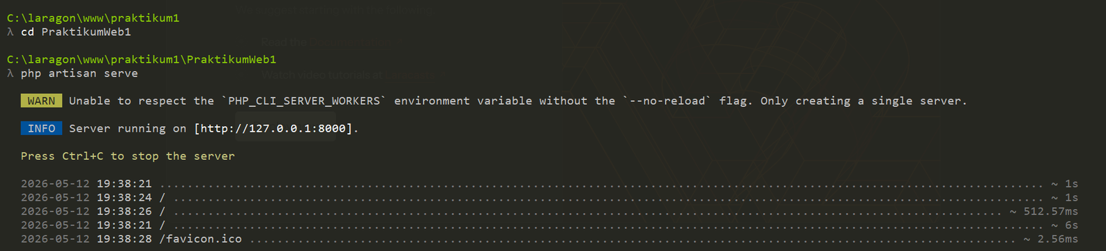 Terminal saat menjalankan php artisan serve